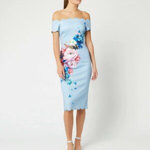 NWT Ted Baker London Hailly Raspberry Ripple Bardot Dress Size 3(US 8)